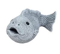 stoneandstyle Figura di pietra carpa Kunibert Koi Pesce resistente al gelo resistente alle intemperie