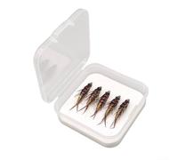 Stonefly - Set di 5 esche per pesca a forma di ninfa, realistiche per la pesca di trote e salmone, con scatola portaoggetti organizzata