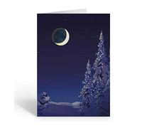 Stonehouse Collection Silent Night - Biglietto di auguri di Natale, 18 biglietti di Natale e buste - Foresta di vacanze invernali (standard)