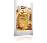 Stonemaier Games Tapestry: Fantasies & Futures - Expansion, Strategy Building Ga