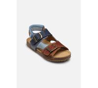 Stones and Bones - 4997 LOPIN Blu - Sandali e scarpe aperte 23 Blu