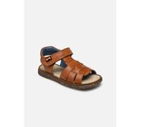 Stones and Bones - Corse Marrone - Sandali e scarpe aperte 24 Marrone
