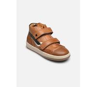 Stones and Bones - CROSP Marrone - Sneakers 32 Marrone