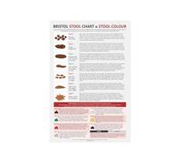 Stool Chart Educational Poster Bristol Scale Visual Guide Digestive System Health Education Wall-Art For Office Bathroom Home Decor(Unframed,08x12inch(20x30cm))