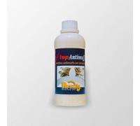 STOP ANTIMUFFA CONCENTRATO PER IDROPITTURE ELIMINA MUFFA ALGHE MUFFA RISANANTE