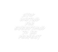 Stop waiting for everything: Work Notebook, Funny Office Gift for Women, Coworker, Boss, Secret Santa Gag Gift (Blank Lined Journal)