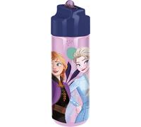 Borraccia ecozen 540 ml frozen
