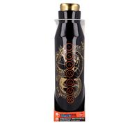 Stor Botella, Stainless Steel, Dragon Ball, Estándar