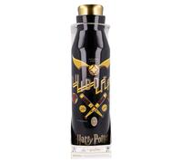 Stor Botella, Stainless Steel, Harry Potter, Estándar