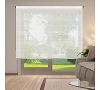 STOR PLANET | Tende Transparenti Decorativa SCENE, Tenda a rullo per Interni, Tende per Cucina, Soggiorno, Camera da letto. Per Finestra e Porta, Installazione Facile | Strisce Bianco, 120x250cm