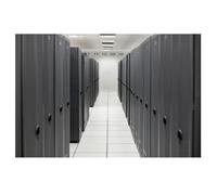 Storage Cable Kit for Proliant DL20 Gen 11 NEW