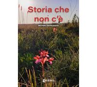 Storia che non c'è