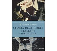 Storia degli ebrei italiani. Vol. 3: Nel XIX e nel XX secolo.