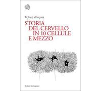 Storia del cervello in 10 cellule e mezzo
