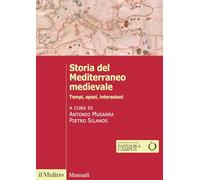 Storia del Mediterraneo medievale. Tempi, spazi, interazioni