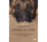 Storia di Fire