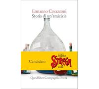 Storia di un'amicizia