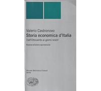 Storia economica d'Italia. Dall'Ottocento ai giorni nostri