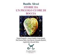 Storie da un piccolo cuore di roccia. Ediz. illustrata