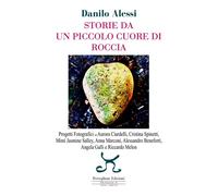 Storie da un piccolo cuore di roccia. Ediz. illustrata - Alessi Danilo