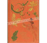 Storie Meravigliose - edizioni RBA - 2022 - Elenco in aggiornamento