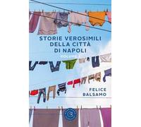Storie verosimili della città di Napoli. Vol. 1