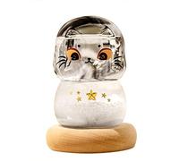 Storm Glass Desktop, Vetro Tempesta Previsioni Meteo Bottiglia, Decorazione a forma di gatto, Moda Creativa Scrivania Casa Gocce d'acqua Vetro Decorazione Bottiglia di Natale