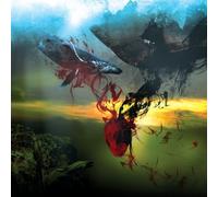 A Storm Of Light And We Wept the Black Ocean Within (Vinyl LP) 12" Album