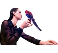 Grace Cummings Storm Queen (Opaque (Vinyl LP)