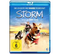 Storm - Sieger auf vier Pfoten