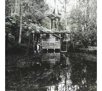 Storm The Sky - Permanence