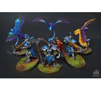 Stormcast Vanguard-Raptors - age of sigmar COMMISSIONE pittura professio...