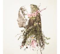 STORY - MONKEY MAJIK