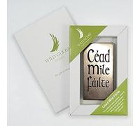 Story of Ireland Cead Mile Failte Bronzed Plaque