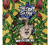 Story So Far - What You Don't See