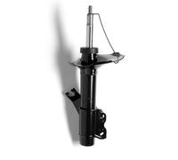 MONROE G16613 Ammortizzatore