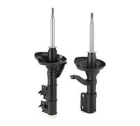 Stoßdämpfer-set Asse Anteriore Sinistro Destro Pressione Del Gas Coilover