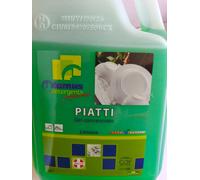 STOVIGLIE A MANO DETERGENTE PROFESSIONALE DETERSIVO CUCINA LAVAPIATTI BICCHIERI