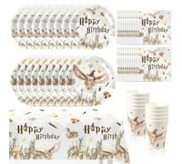 Stoviglie per Feste di Compleanno Wizard, 51 pezzi Servizio da Tavola per Feste, Set di Stoviglie Magiche Wizard con Piatti Tovaglia Compleanno Tovaglioli, Bicchieri di Carta, Adatto per 10 Persone