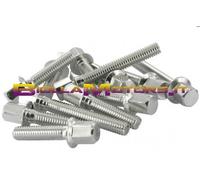 STR-550.77/AL VITI IN ERGAL STR8 cromo PER COPRICARTER