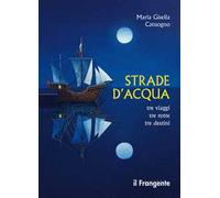 Strade d'acqua. Tre viaggi, tre rotte, tre destini