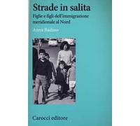 Strade in salita. Figlie e figli dell'immigrazione meridionale al Nord