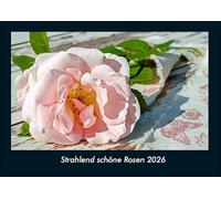Strahlend schöne Rosen 2026 Fotokalender DIN A4: Monatskalender mit Bild-Motiven aus Fauna und Flora, Natur, Blumen und Pflanzen