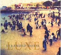 Stranded Horse - Luxe