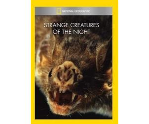 Strange Creatures of the Night (DVD)