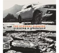 Strange Flowers, The Crossing A Wasteland (Video Game)