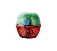 Stranger Things The Upside Down Terrarium