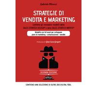 Strategie di vendita e marketing. Modello innovativo con kit exce