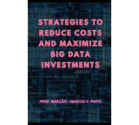 STRATEGIES TO REDUCE COSTS AND MAXIMIZE BIG DATA INVESTMENTS: 13