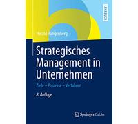 Strategisches Management in Unternehmen: Ziele - Prozesse - Verfahren